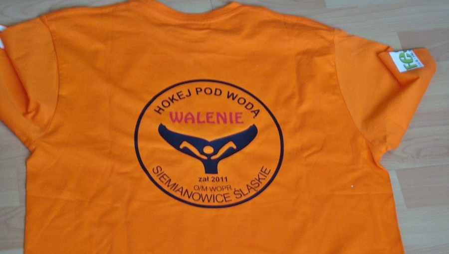 Hokej pod wodą Walenie Siemianowice Śląskie Radio Fest 2015